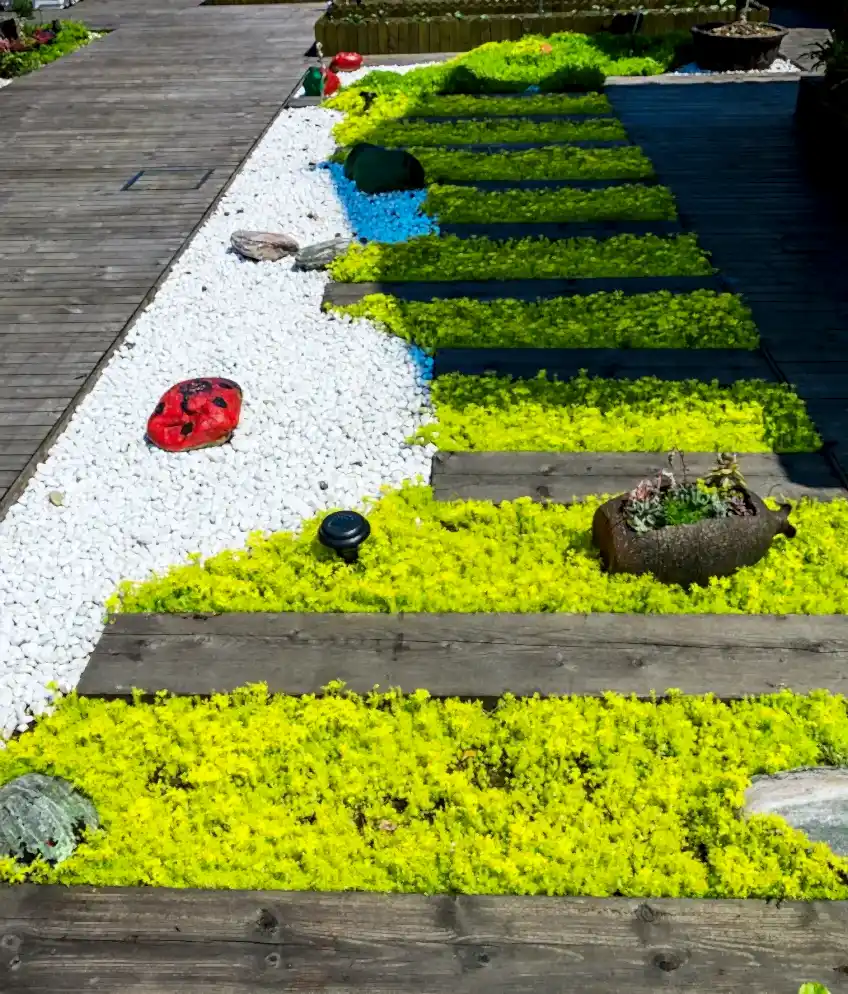 Delice Peyzaj ile Milas’ta Profesyonel Bahçe Düzenleme