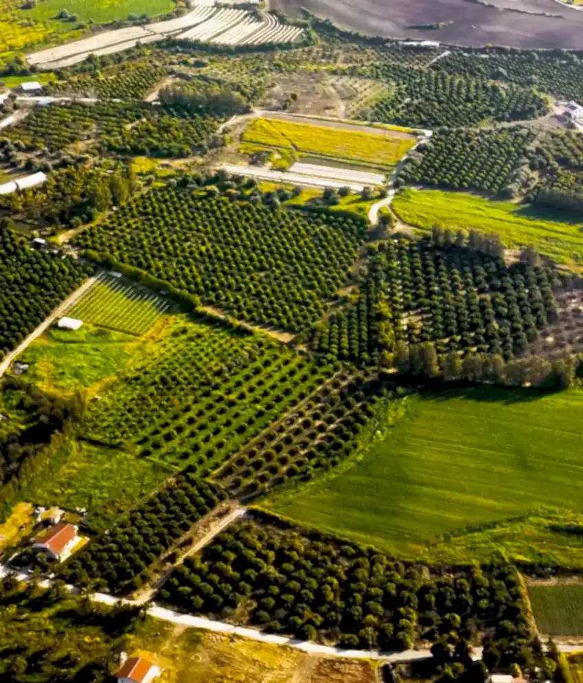 Milas Peyzaj – Milas’ın Doğayla Uyumlu Yaşam Alanı Uzmanı