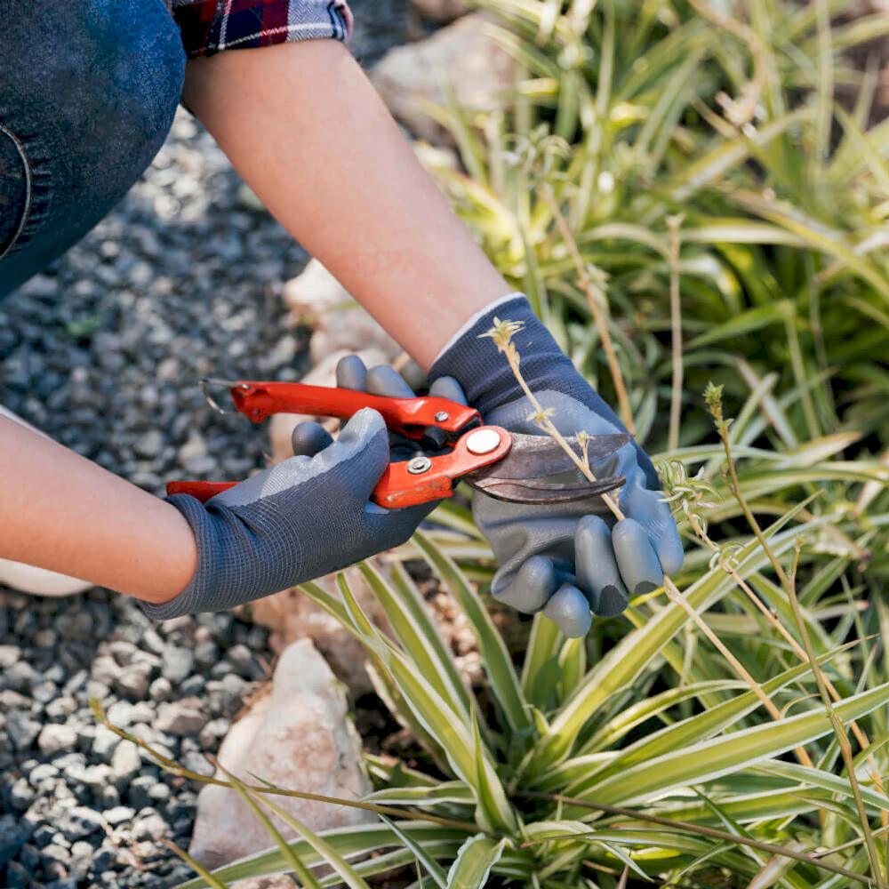 Milasta profesyonel peyzaj hizmeti